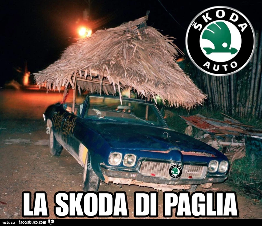 Vaccata