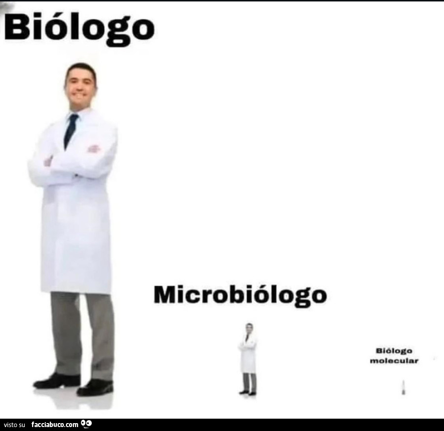 Biologo. Microbiologo. Biologo molecular