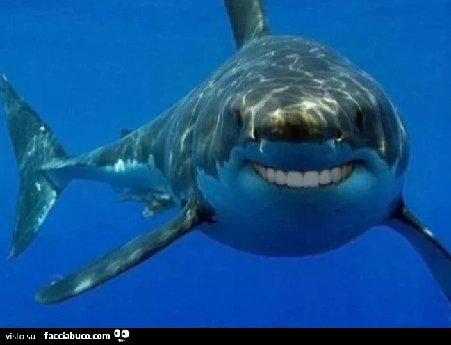 Squalo con denti umani