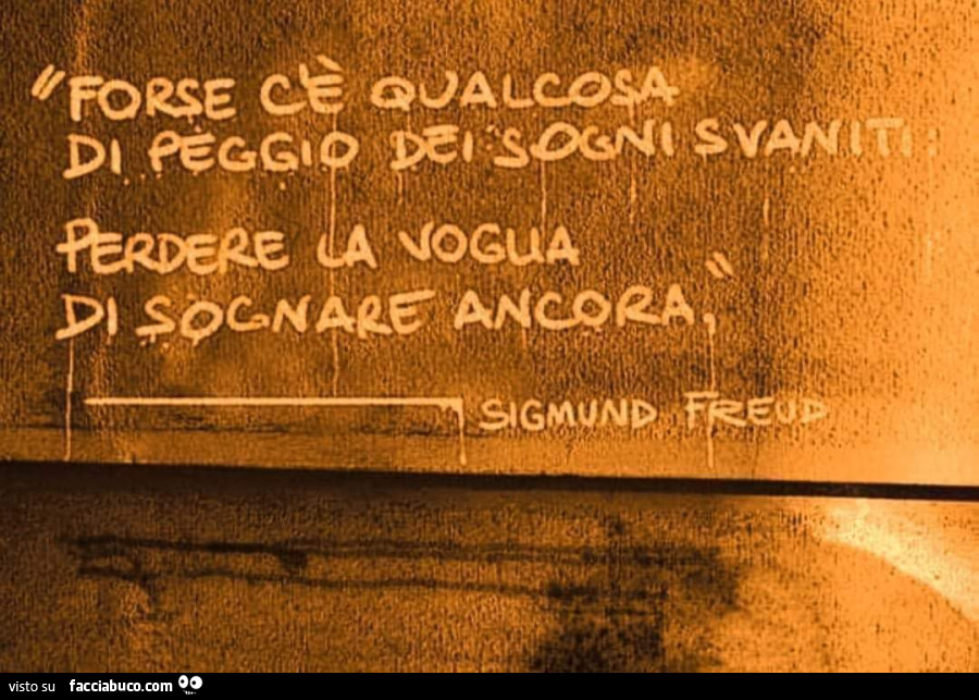Forse c'è qualcosa di peggio dei sogni svaniti: perdere la voglia di sognare ancora. Sigmund Freud