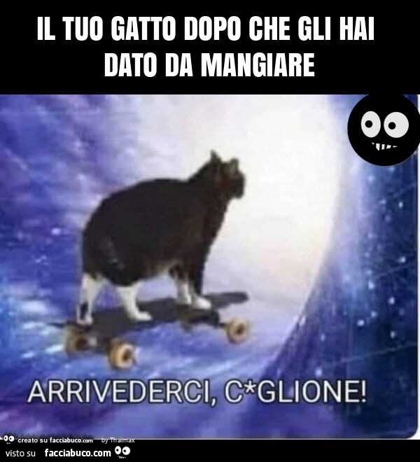 Il tuo gatto dopo che gli hai dato da mangiare