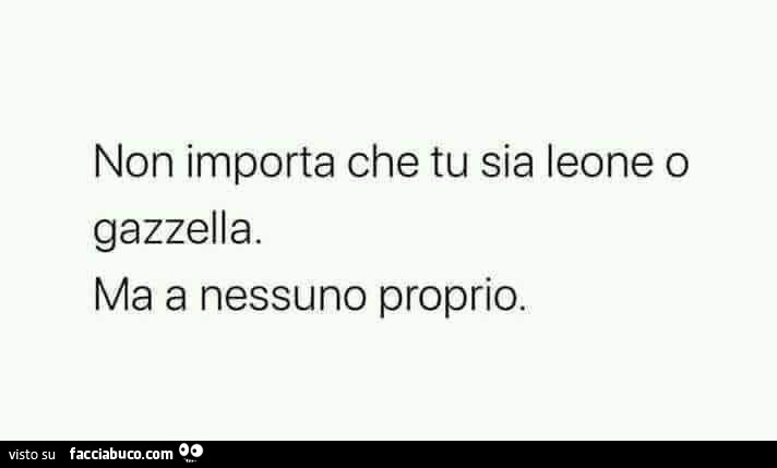 Non importa che tu sia leone o gazzella. Ma a nessuno proprio