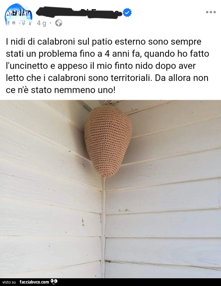 Nidi calabrone uncinetto