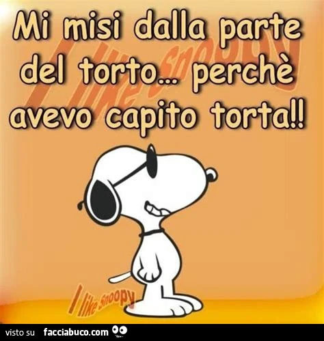 Fraintendimenti