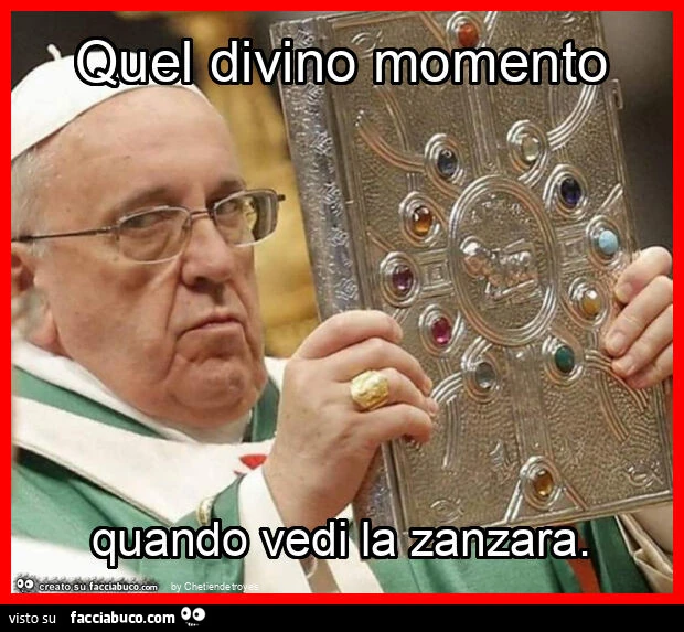Quel divino momento quando vedi la zanzara