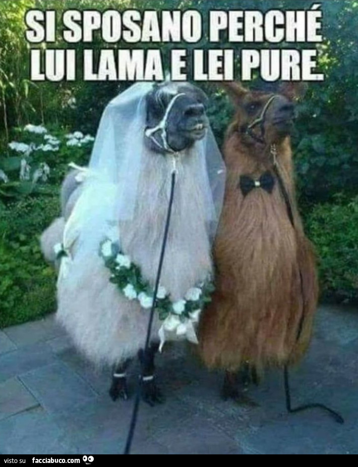 Matrimonio