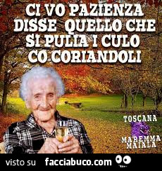 Vaccata