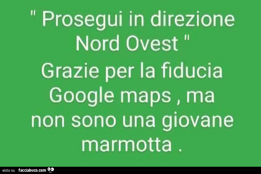 Prosegui in direzione nord ovest. Grazie per la fiducia google maps, ma non sono una giovane marmotta