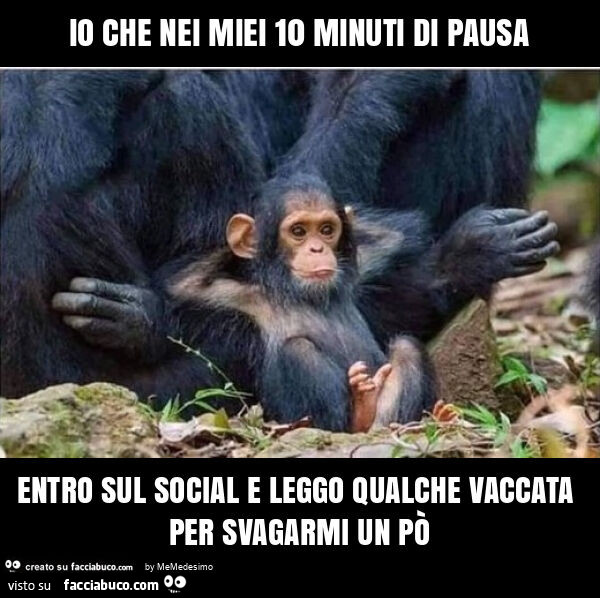 Io che nei miei 10 minuti di pausa entro sul social e leggo qualche vaccata per svagarmi un po'