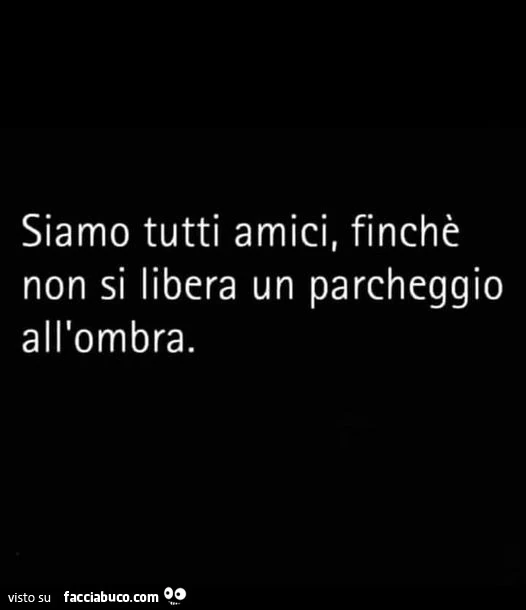 Siamo tutti amici, finchè non si libera un parcheggio all'ombra