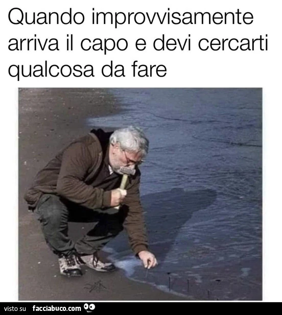 Vaccata