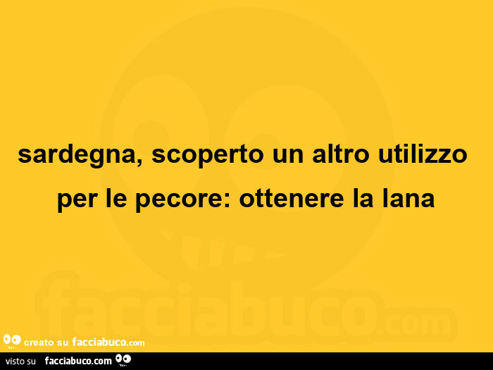 Sardegna, scoperto un altro utilizzo per le pecore: ottenere la lana