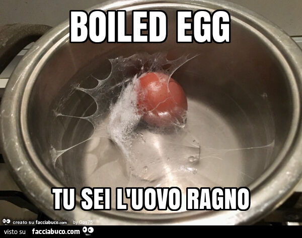 Boiled egg tu sei l'uovo ragno
