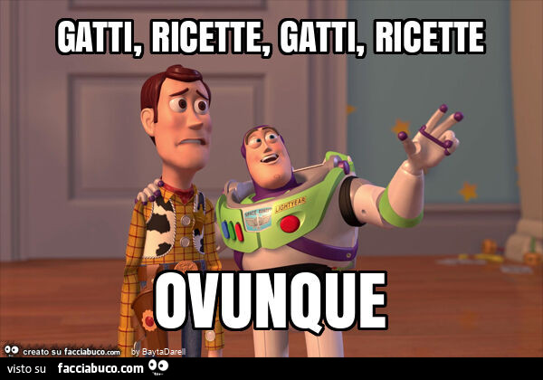 Gatti, ricette, gatti, ricette ovunque