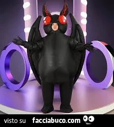 Vaccata