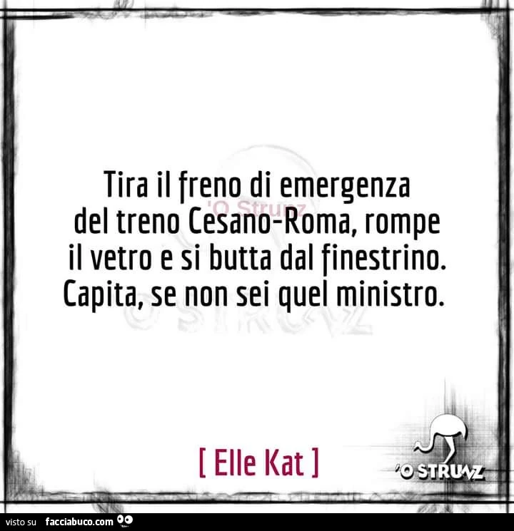 Tira il freno di emergenza del treno cesano-roma, rompe il vetro e si butta dal finestrino. Capita, se non sei quel ministro
