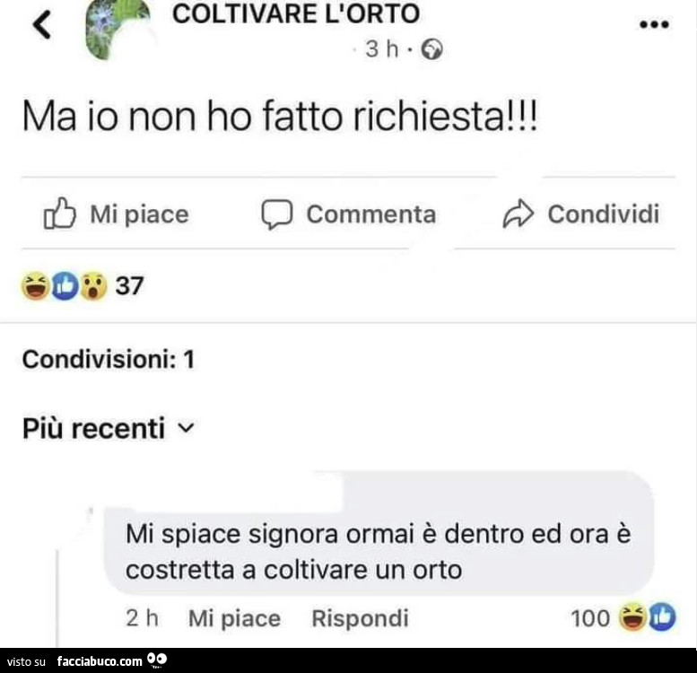 Ma io non ho fatto richiesta! Mi spiace signora ormai è dentro ed ora è costretta a coltivare un orto