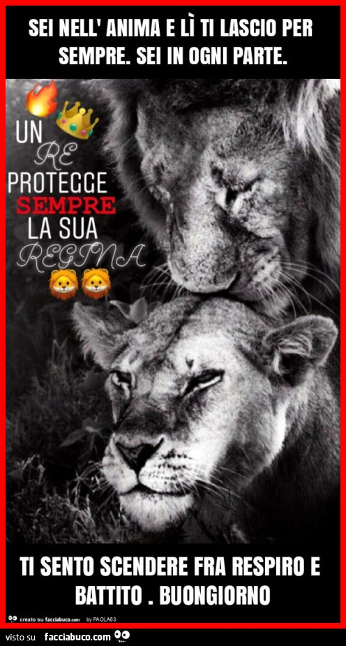 Sei nell' anima e lรฌ ti lascio per sempre. Sei in ogni parte. Ti sento scendere fra respiro e battito. Buongiorno