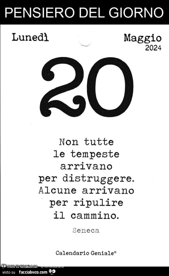 Pensiero del giorno: non tutte le tempeste arrivano per distruggere. Alcune arrivano per ripulire il cammino. Seneca