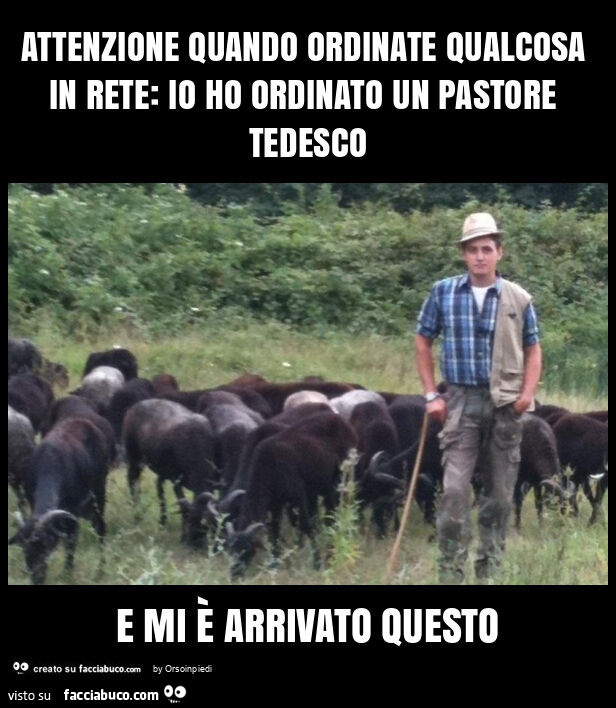 Attenzione quando ordinate qualcosa in rete: io ho ordinato un pastore tedesco e mi è arrivato questo