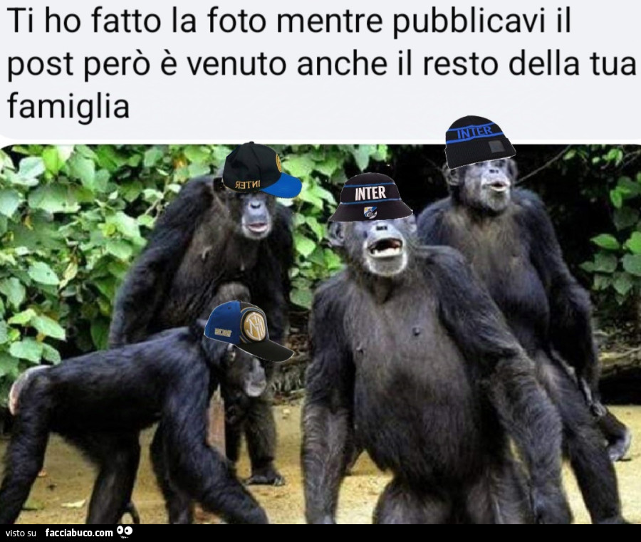 Foto profilo