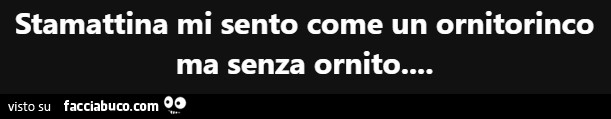 Stamattina mi sento come un ornitorinco ma senza ornito