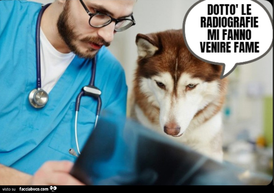 Dottore le radiografie mi fanno venire fame cane veterinario raggi