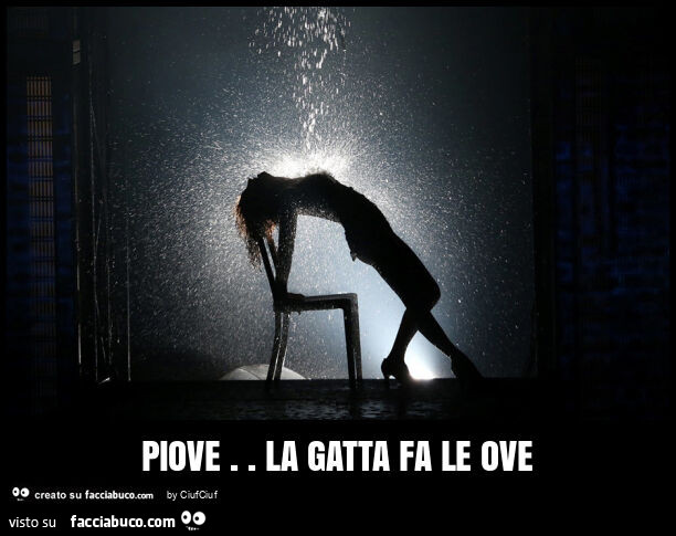 Piove. La gatta fa le ove