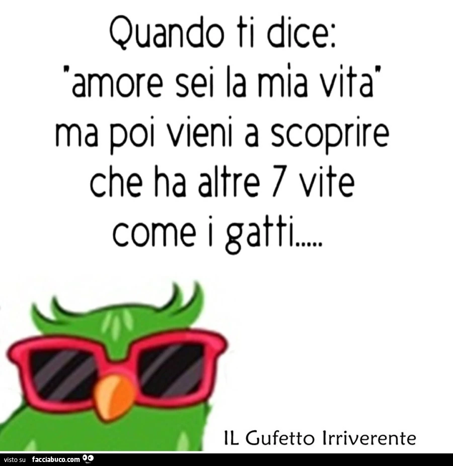 Quando ti dice: amore sei la mia vita, ma poi vieni a scoprire che ha altre 7 vite come i gatti
