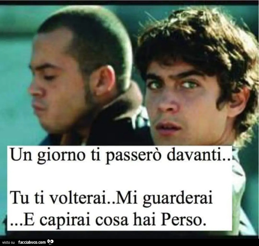 Un giorno ti passerò davanti tu ti volterai mi guarderai e capirai cosa hai perso