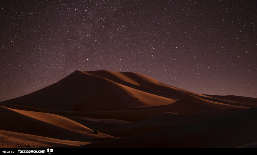 Cielo di notte nel deserto