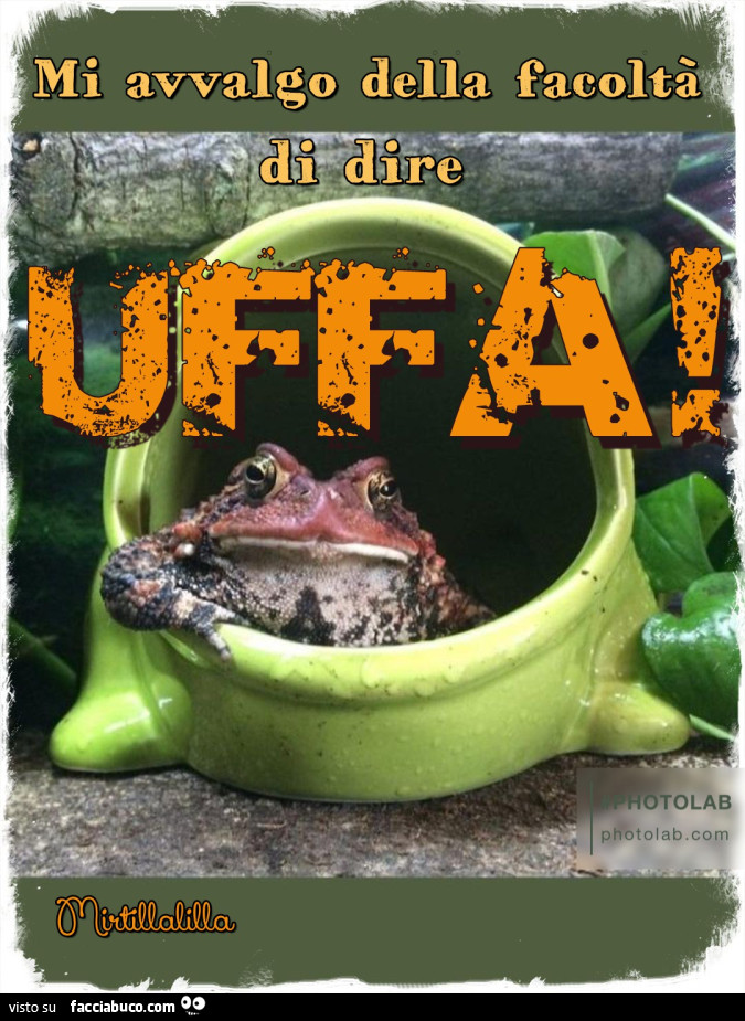 Uffa