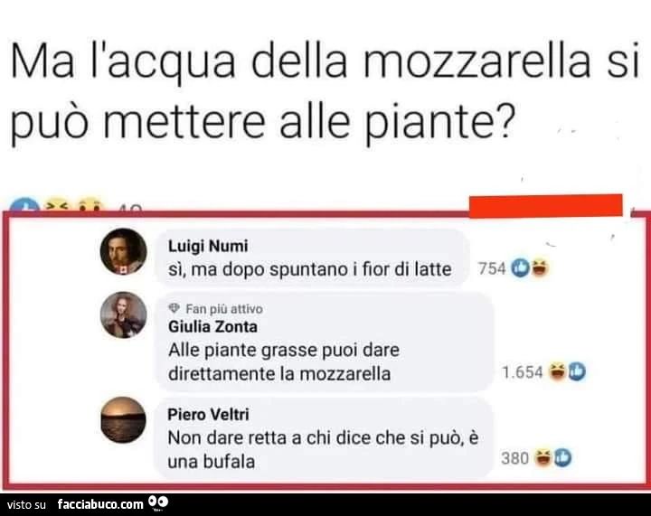 Ma l'acqua della mozzarella si può mettere alle piante? Sì, ma dopo spuntano i fior di latte