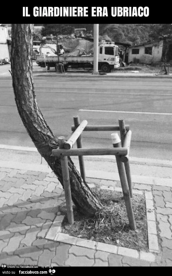Il giardiniere era ubriaco