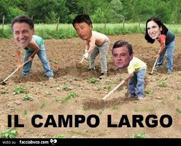 Il campo largo