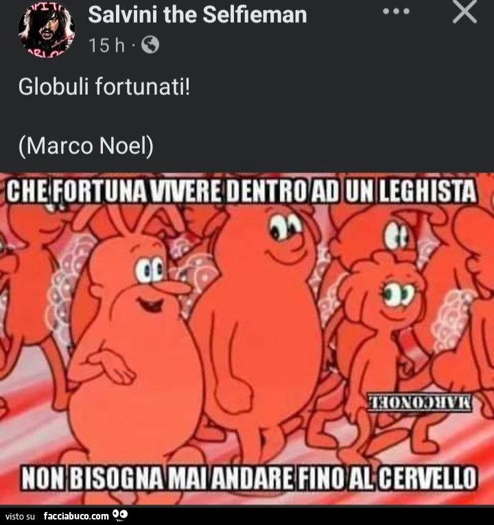 Vaccata