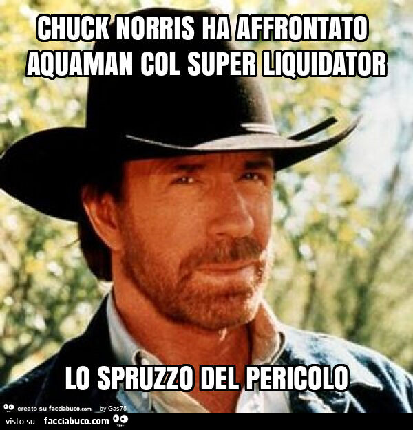 Chuck norris ha affrontato aquaman col super liquidator lo spruzzo del pericolo