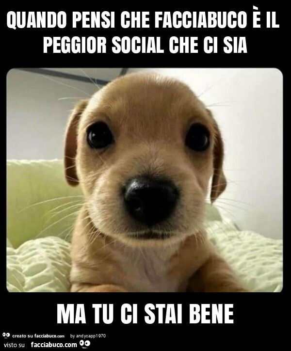 Quando pensi che facciabuco è il peggior social che ci sia ma tu ci stai bene