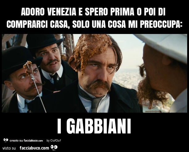 Adoro venezia e spero prima o poi di comprarci casa, solo una cosa mi preoccupa: i gabbiani