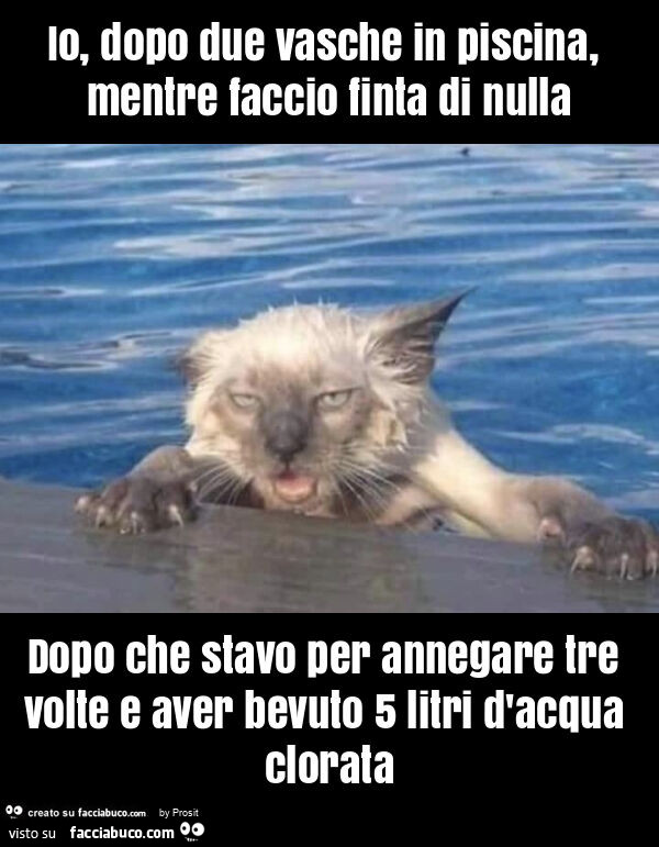 Io, dopo due vasche in piscina, mentre faccio finta di nulla dopo che stavo per annegare tre volte e aver bevuto 5 litri d'acqua clorata