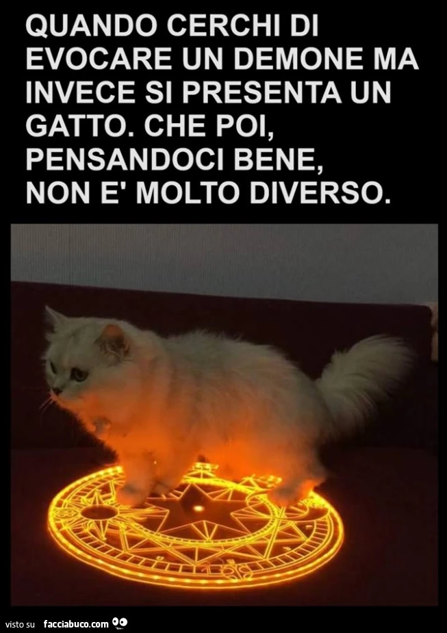 Vaccata