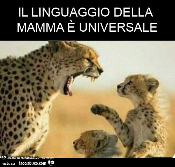 Il linguaggio della mamma è universale