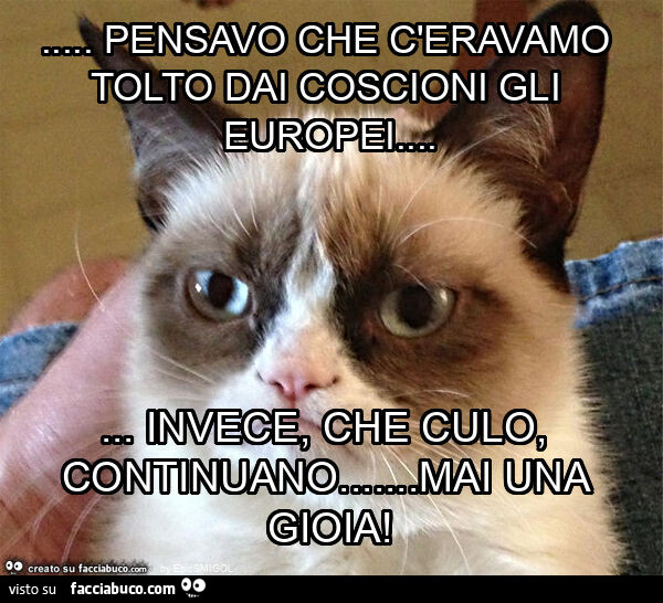 Pensavo che c'eravamo tolto dai coscioni gli europei… invece, che culo, continuano… mai una gioia