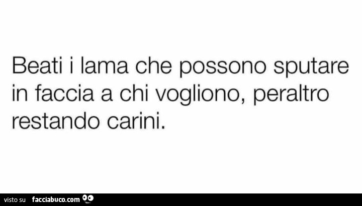 Beati i lama che possono sputare in faccia a chi vogliono, peraltro restando carini