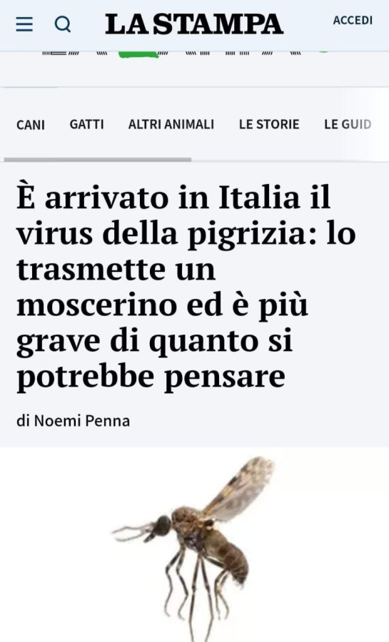 È arrivato in italia il virus della pigrizia: lo trasmette un moscerino ed è più grave di quanto si potrebbe pensare