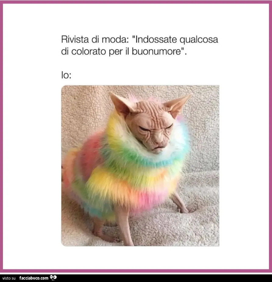 Rivista di moda indossate qualcosa di colorato per il buonumore io gatto