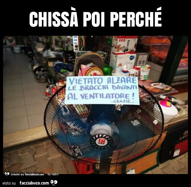 Chissà poi perché vietato alzare le braccia davanti al ventilatore