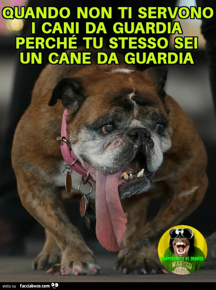Quando non ti servono i cani da guardia perché tu stesso sei un cane da guardia