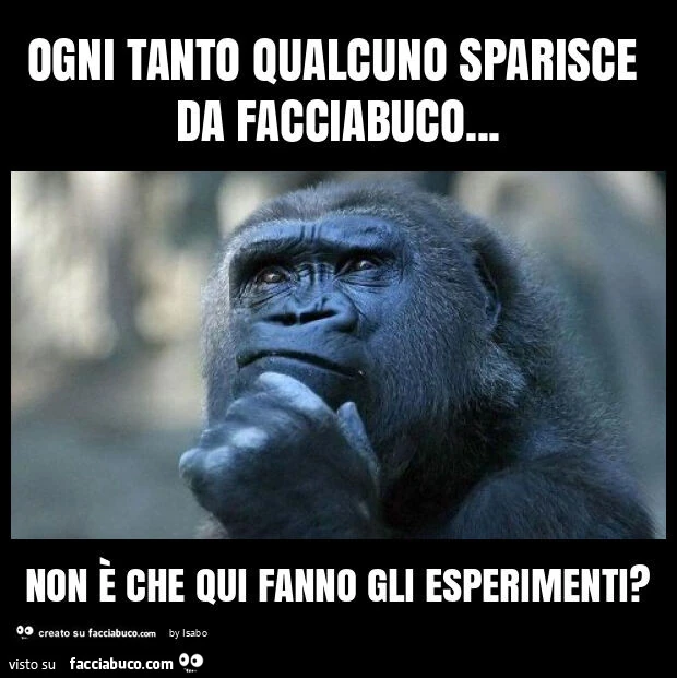 Ogni tanto qualcuno sparisce da facciabuco&hellip; non è che qui fanno gli esperimenti?