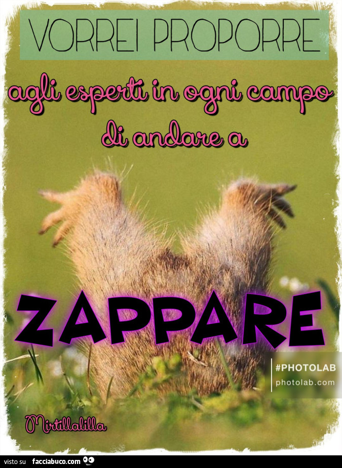 Andate a zappare